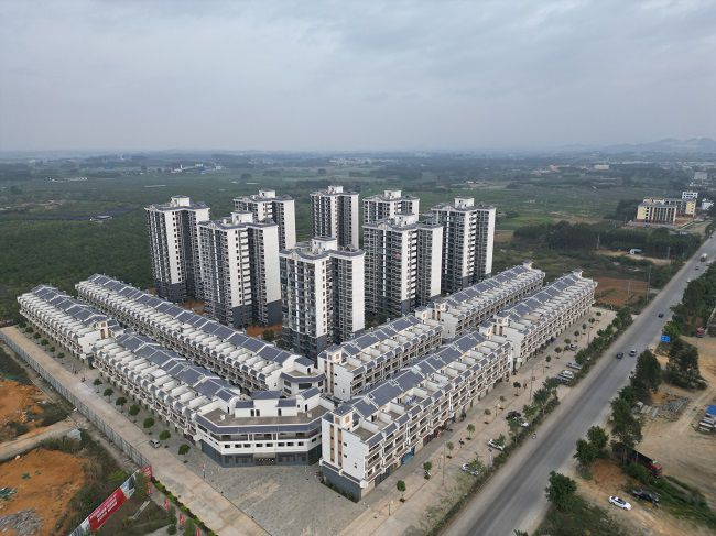 1.三分华穗·那桐壹号  修.jpg