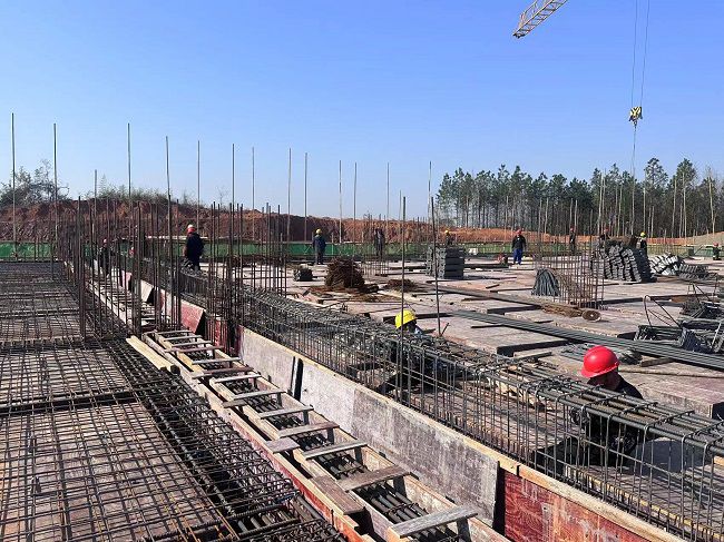 1744596988285214.jpg (修图)工人在现场绑扎钢筋.jpg